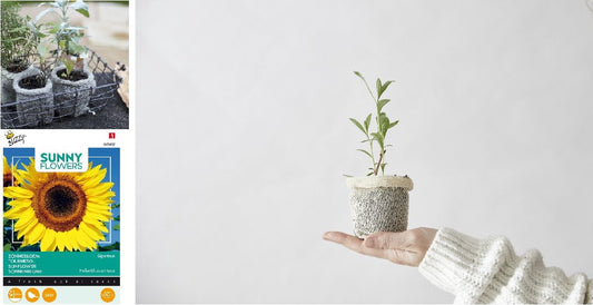 2 Wool Pots met zonnebloemzaadjes