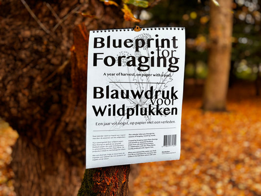 Blauwdruk voor wildplukken