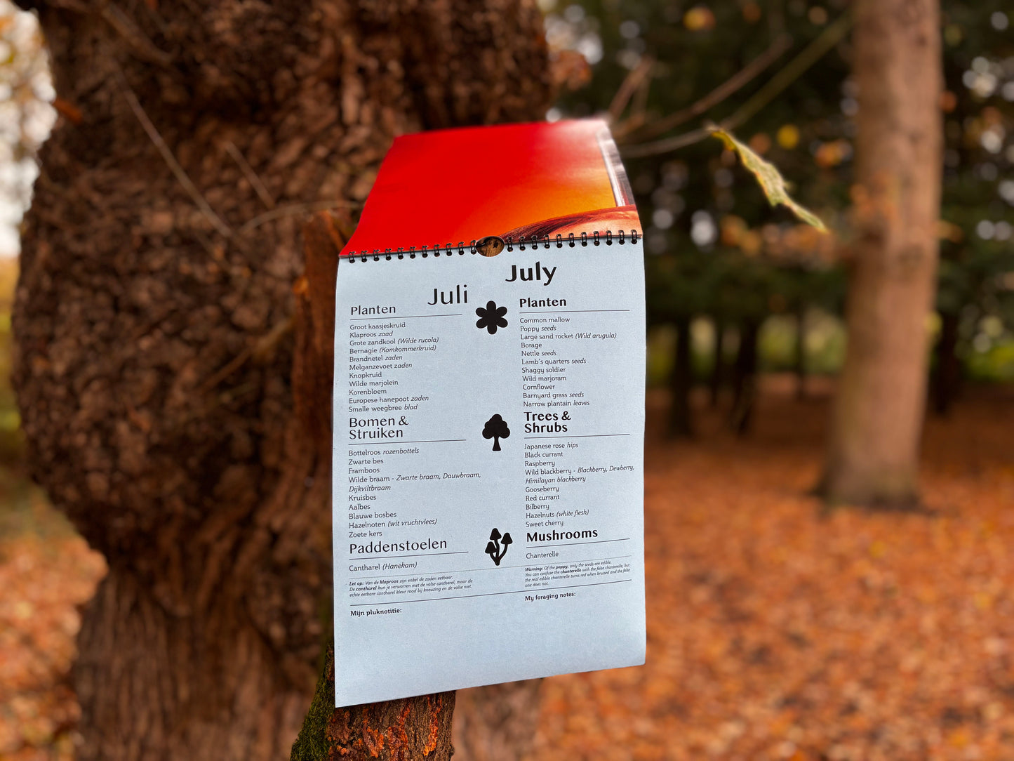 Blauwdruk voor wildplukken