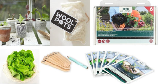 Wool Pots cadeaupakket met 6 soorten groenten zaden