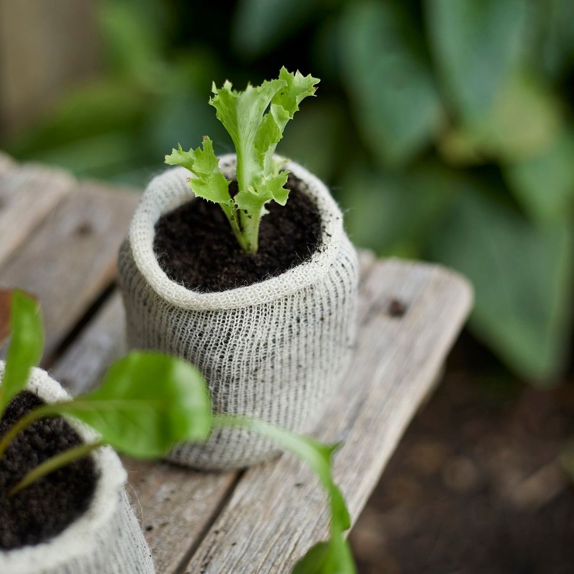 Wool Pots - Made Sustained